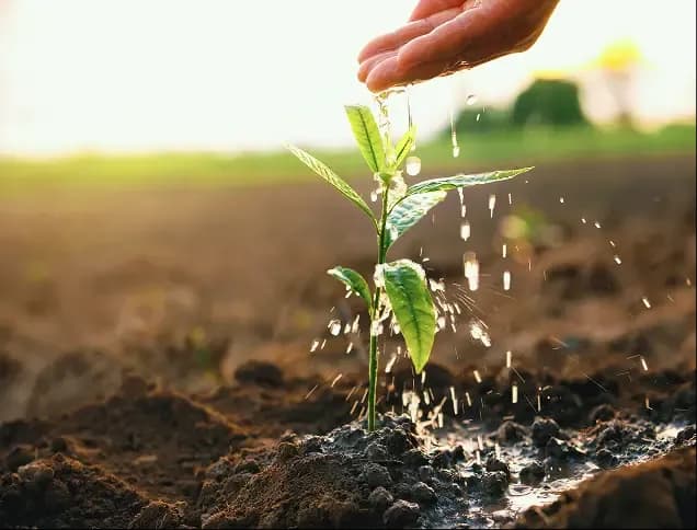 Protecting the environment through responsible operations